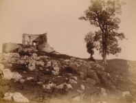 Fortica ila_rendered