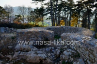 Fortica ila_rendered