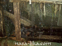 Melji (Maljevi) ila_rendered