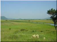 Gacka ila_rendered