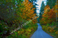 Crno Jezero ila_rendered