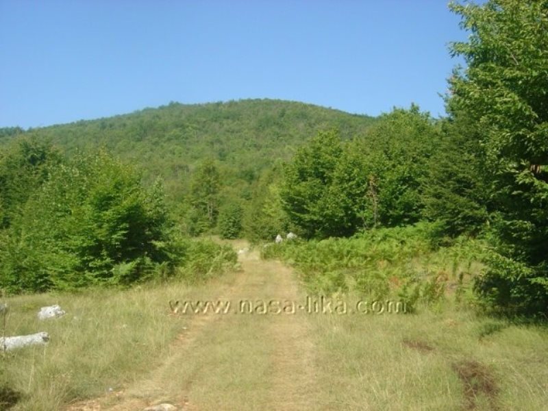 Pećinski park „Grabovača“