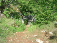 Pećinski park „Grabovača“ ila_rendered