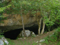 LiÄko Lešće ila_rendered