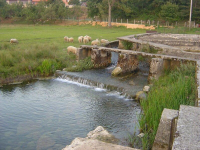 LiÄko Lešće ila_rendered