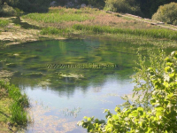 LiÄko Lešće ila_rendered