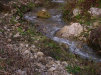 Letinac ila_rendered