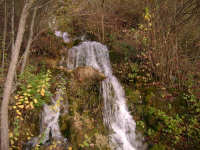 Letinac ila_rendered