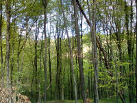 Ni š od šlajsa ni k od košenja ila_rendered