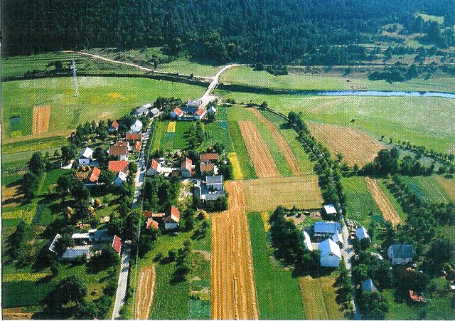 Čovići