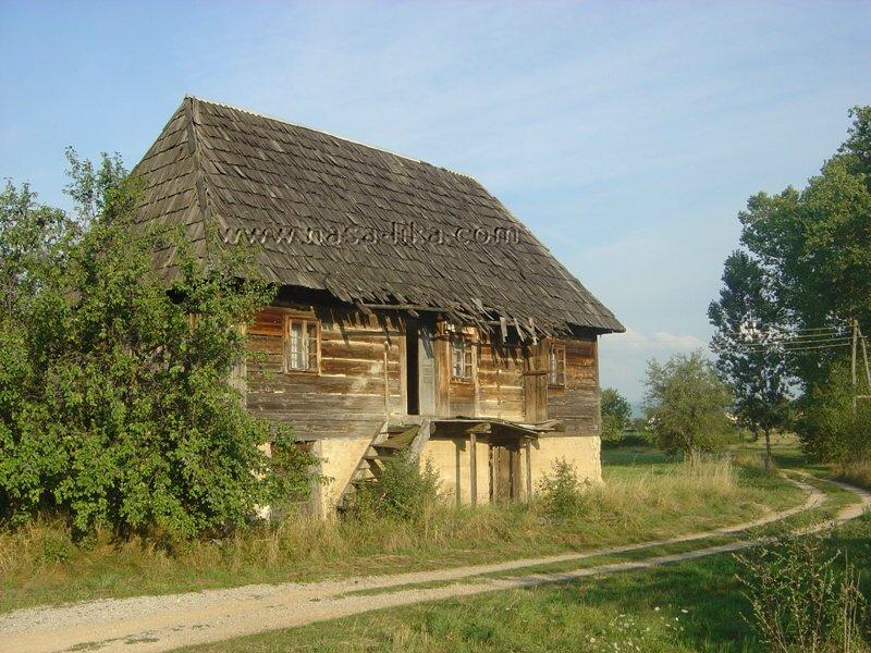 Čovići