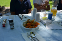 Okupljanje liÄana u dijaspori 2014. ila_rendered