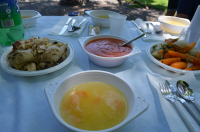 Okupljanje liÄana u dijaspori 2014. ila_rendered