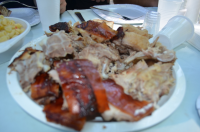 Okupljanje liÄana u dijaspori 2014. ila_rendered