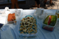 Okupljanje liÄana u dijaspori 2014. ila_rendered