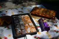 Okupljanje liÄana u dijaspori 2014. ila_rendered