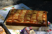 Okupljanje liÄana u dijaspori 2014. ila_rendered