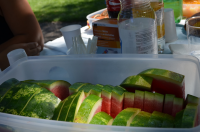 Okupljanje liÄana u dijaspori 2014. ila_rendered