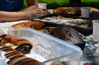 Okupljanje liÄana u dijaspori 2014. ila_rendered