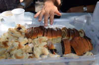 Okupljanje liÄana u dijaspori 2014. ila_rendered