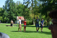 Okupljanje liÄana u dijaspori 2014. ila_rendered